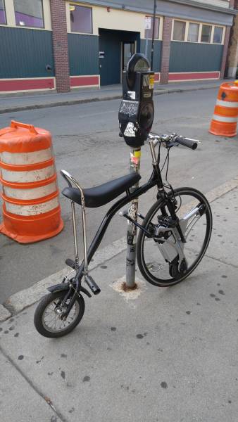 Morning Picdump