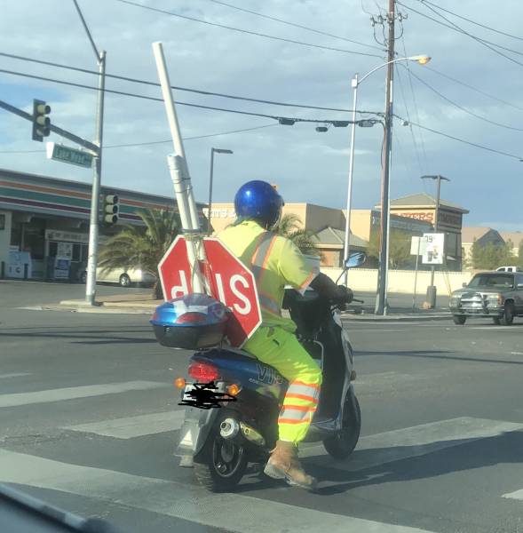 Morning Picdump