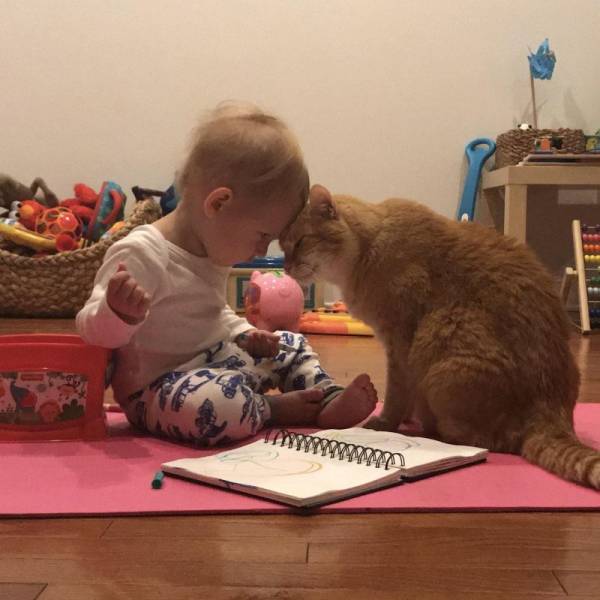 Daily Picdump [WEEKEND EDITION]