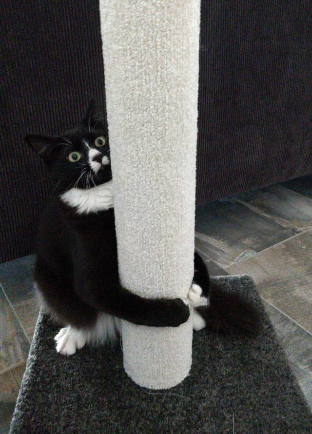Daily Picdump [WEEKEND EDITION]