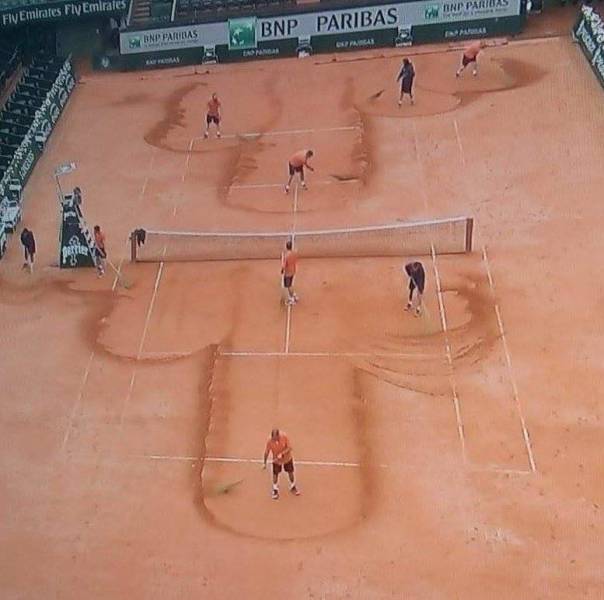 Morning Picdump