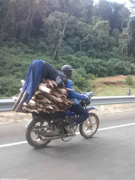 Morning Picdump
