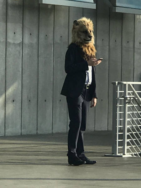 Morning Picdump