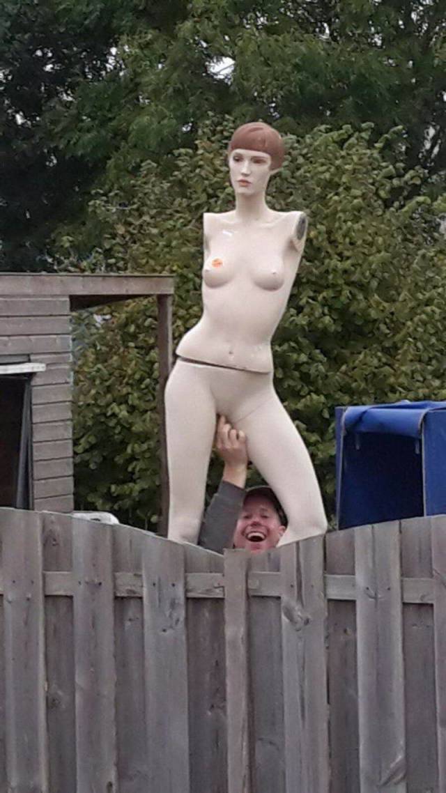 Daily Picdump