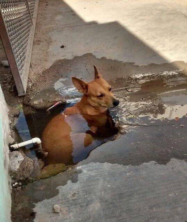 Daily Picdump