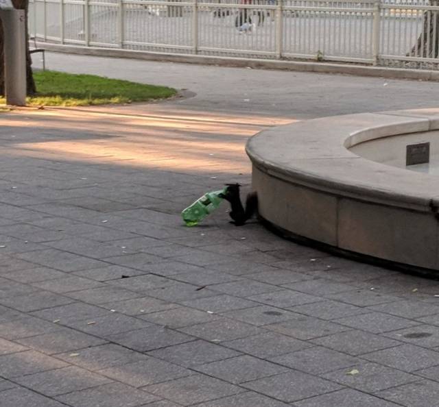 Morning Picdump