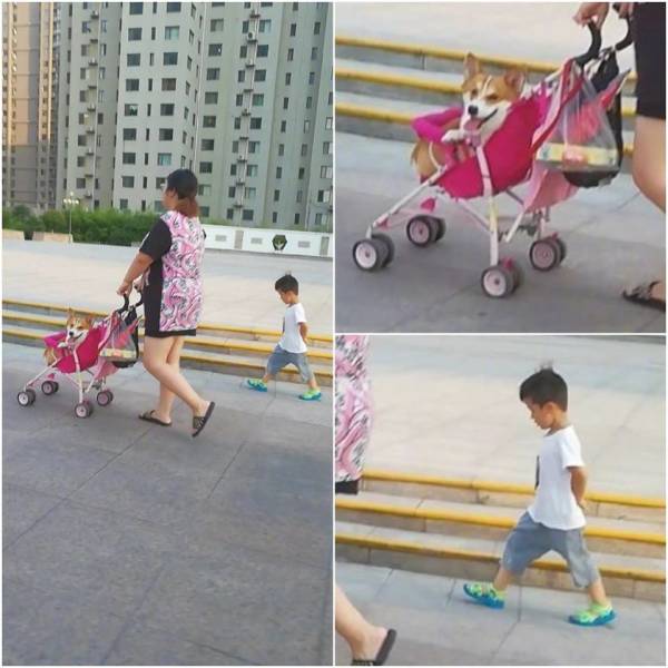 Morning Picdump