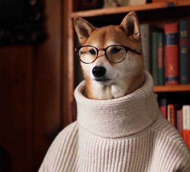 Daily Picdump