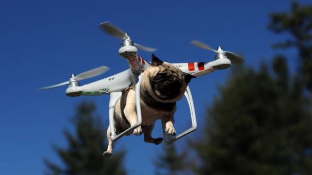 Daily Picdump