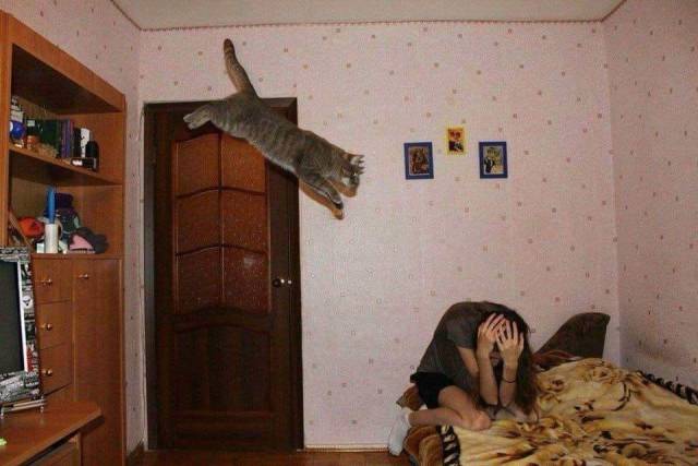 Daily Picdump
