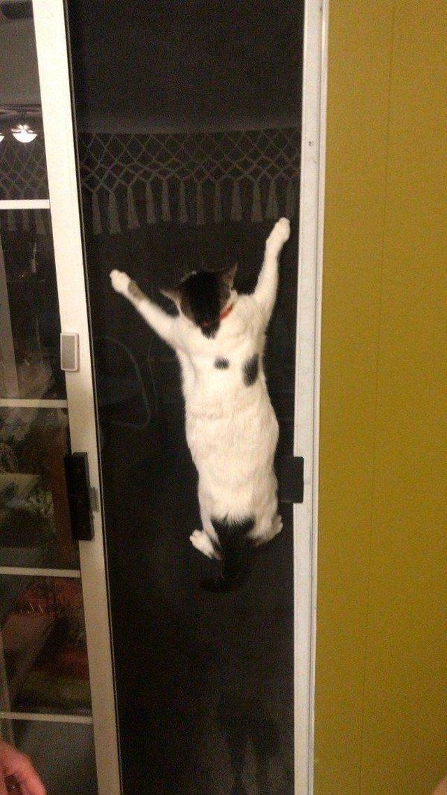 Daily Picdump