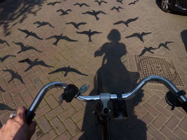 Daily Picdump [WEEKEND EDITION]