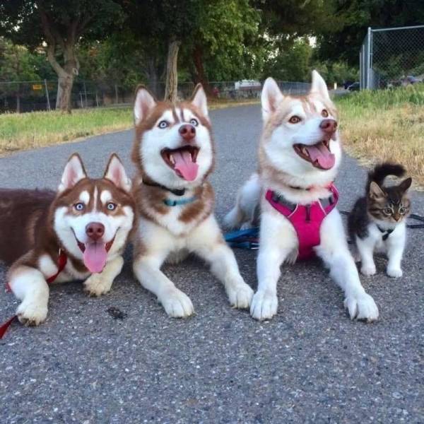 Daily Picdump