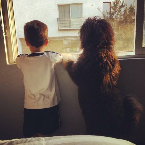Daily Picdump