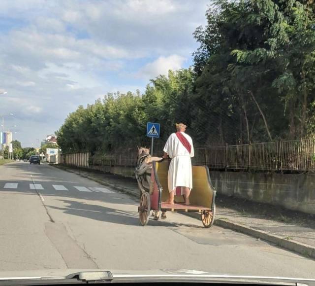 Daily Picdump
