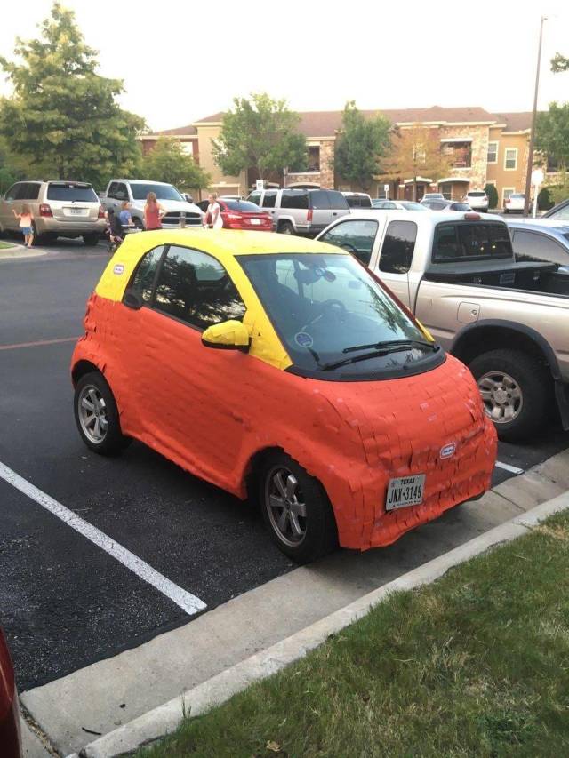 Daily Picdump