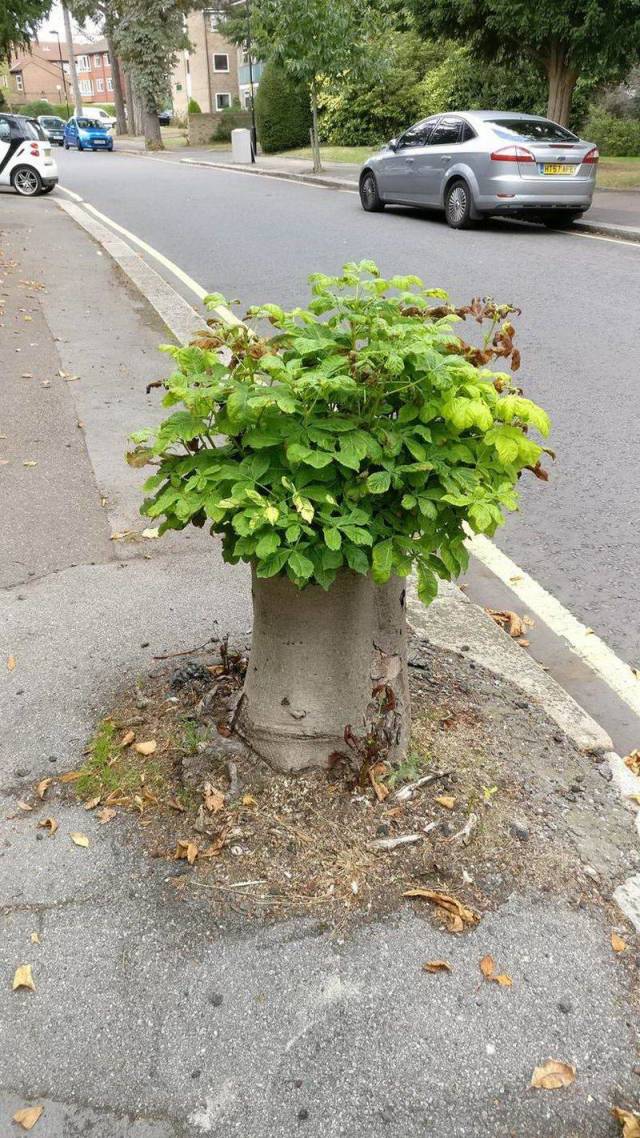 Daily Picdump