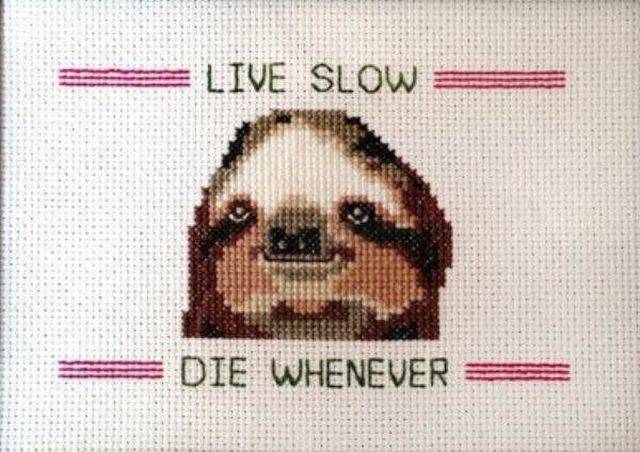 Daily Picdump