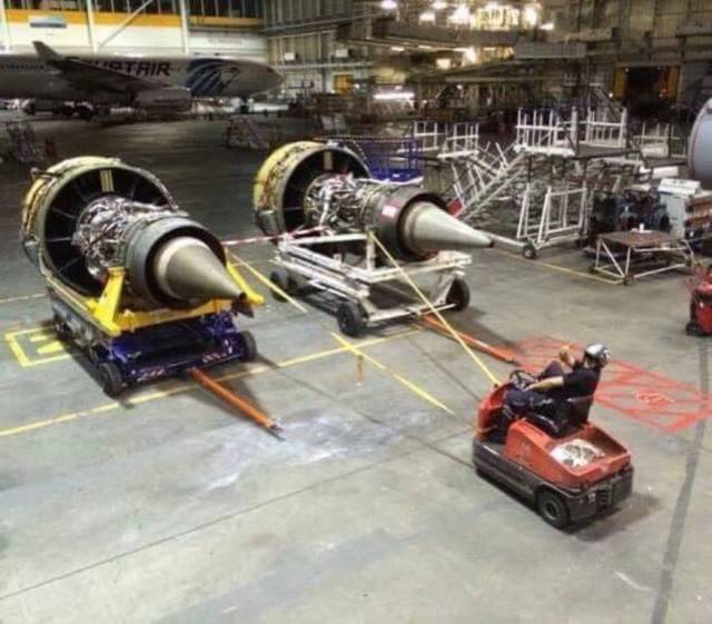 Daily Picdump