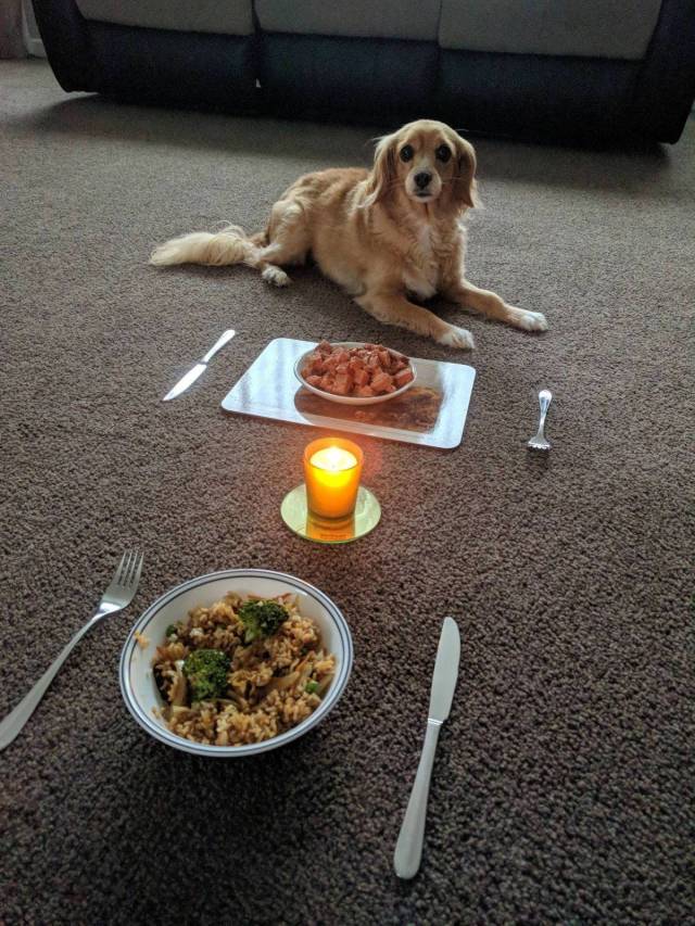 Daily Picdump