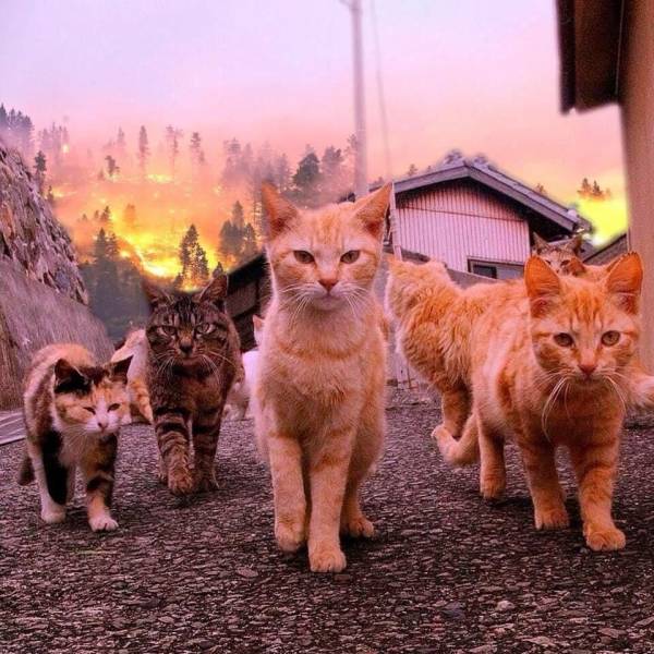 Daily Picdump