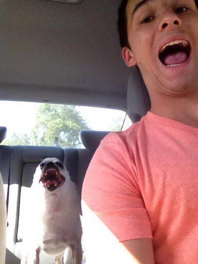 Daily Picdump