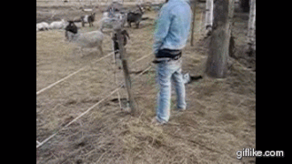 Electricity Wins Every Battle Against Humanity