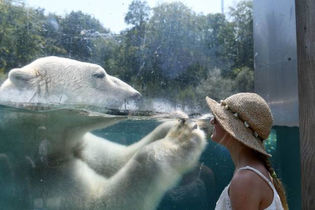 Daily Picdump