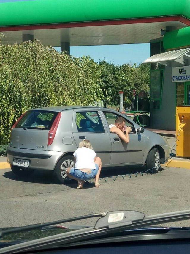 Daily Picdump
