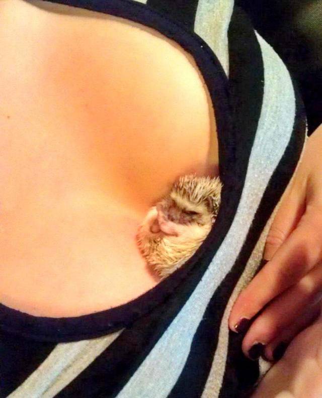 Daily Picdump