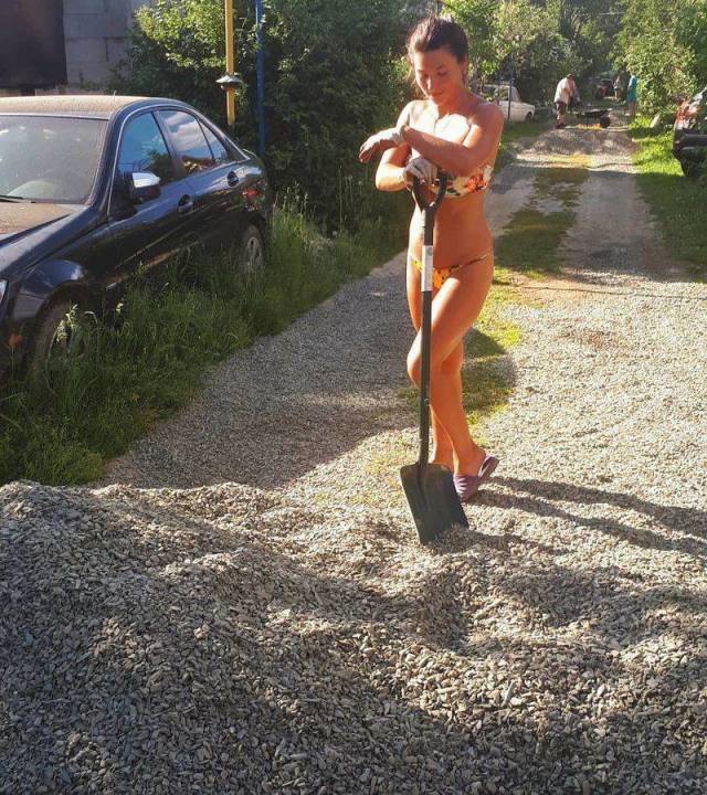 Daily Picdump