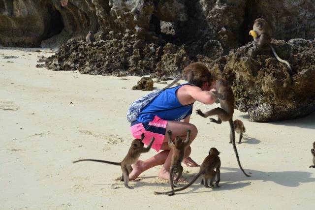 Daily Picdump