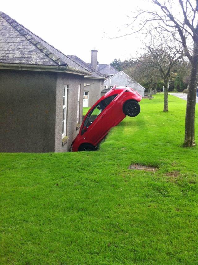 Daily Picdump