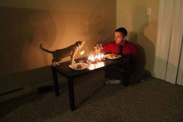 Daily Picdump