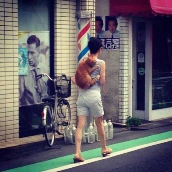 Daily Picdump