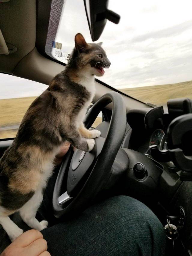 Daily Picdump