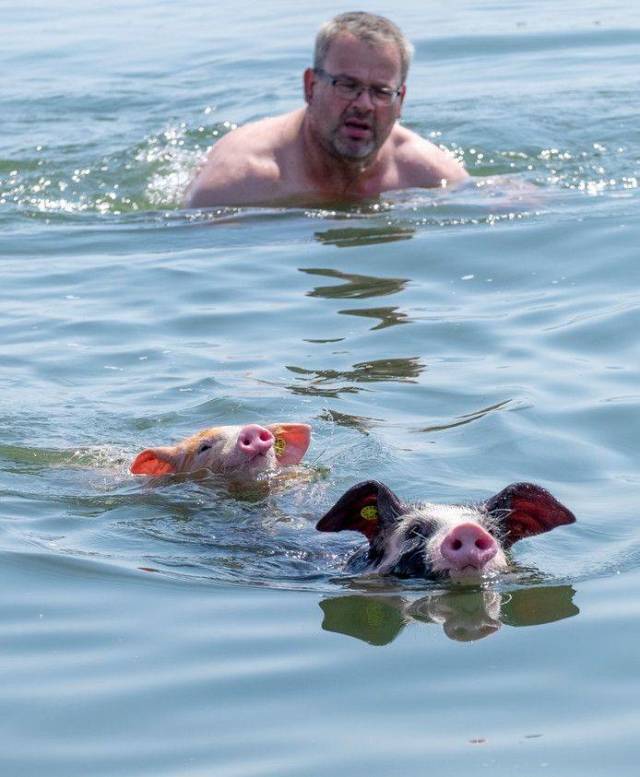 Daily Picdump