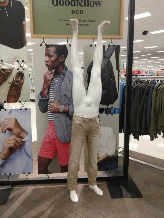 Daily Picdump