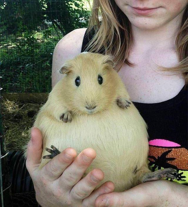 Daily Picdump