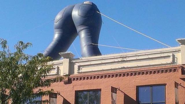 Daily Picdump