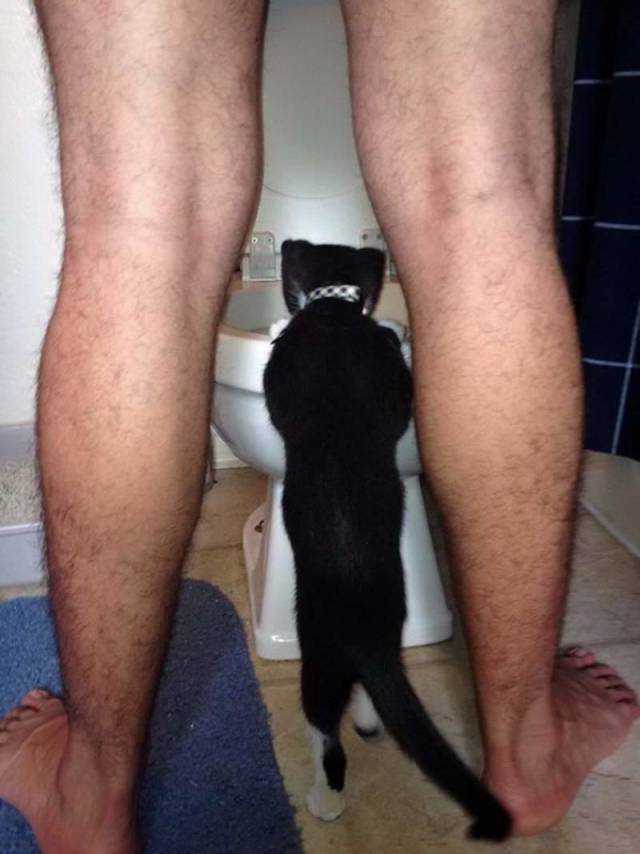 Daily Picdump