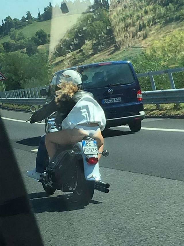 Daily Picdump