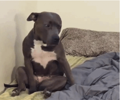 Some Things Should Never Be Done In Bed