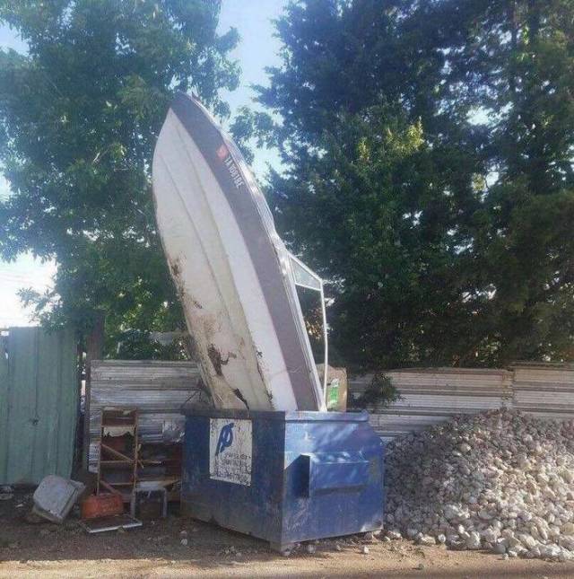 Daily Picdump