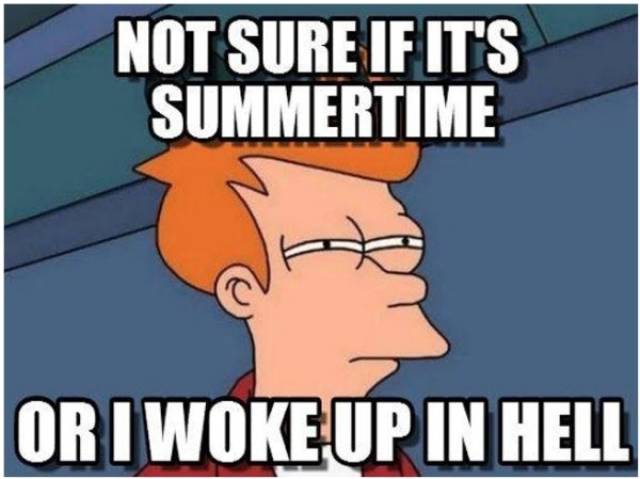 Summer Memes Are Pretty Hot!