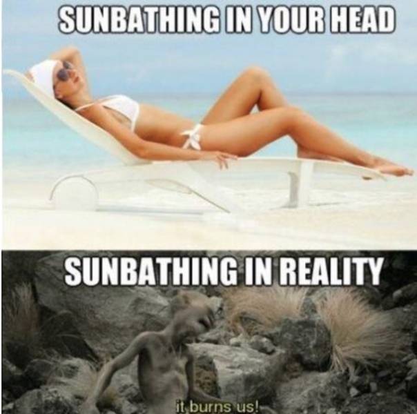 Summer Memes Are Pretty Hot!