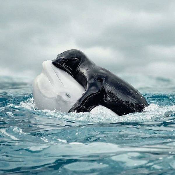 Daily Picdump [WEEKEND EDITION]