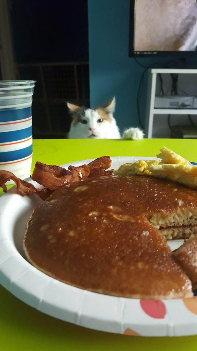 Daily Picdump [WEEKEND EDITION]