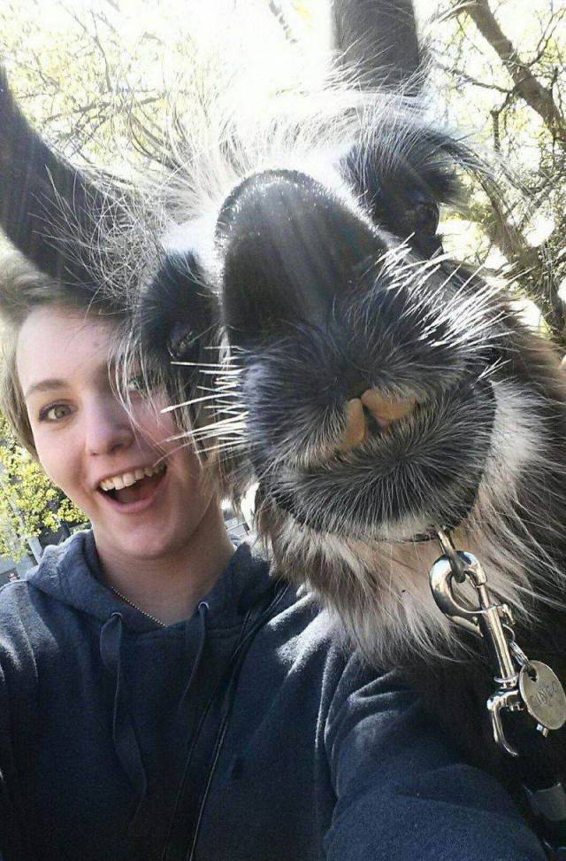 Daily Picdump [WEEKEND EDITION]