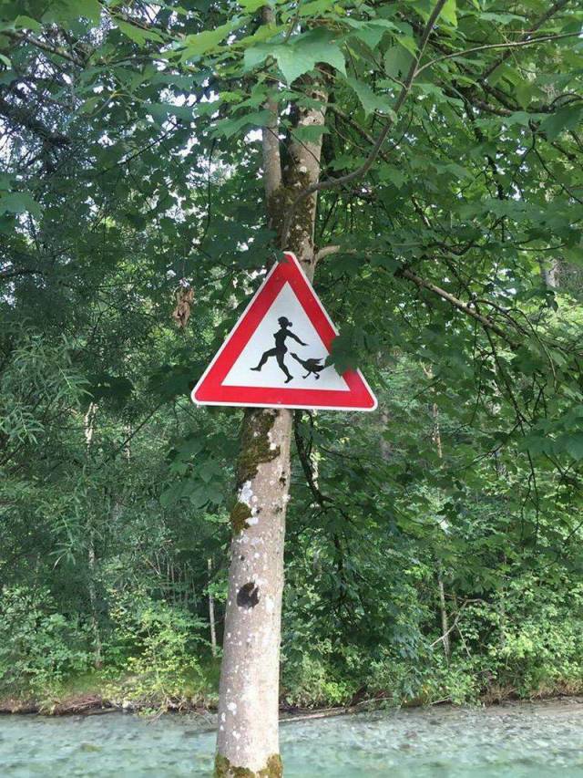 Daily Picdump [WEEKEND EDITION]